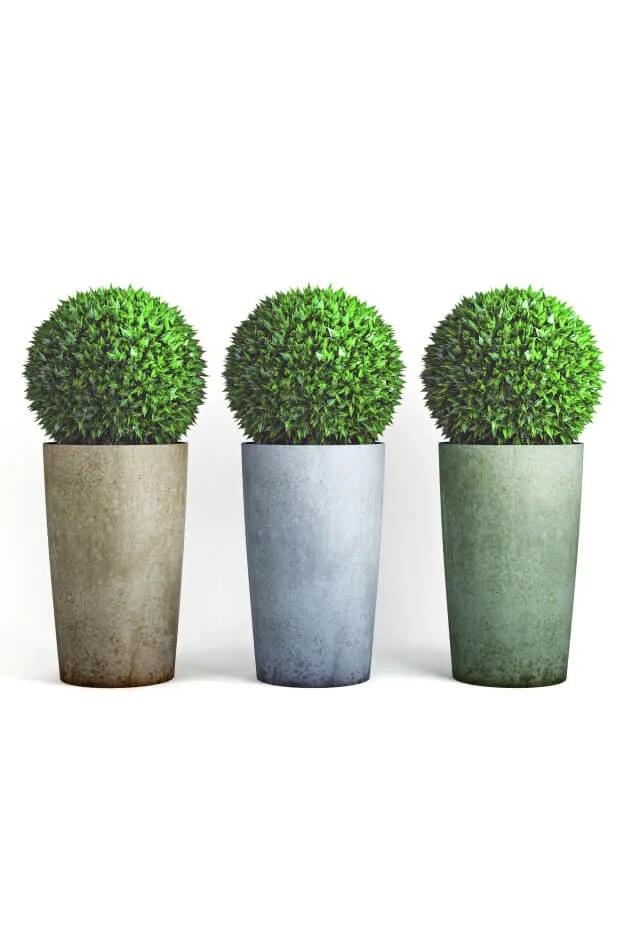 decoration - Bushes 3D Model