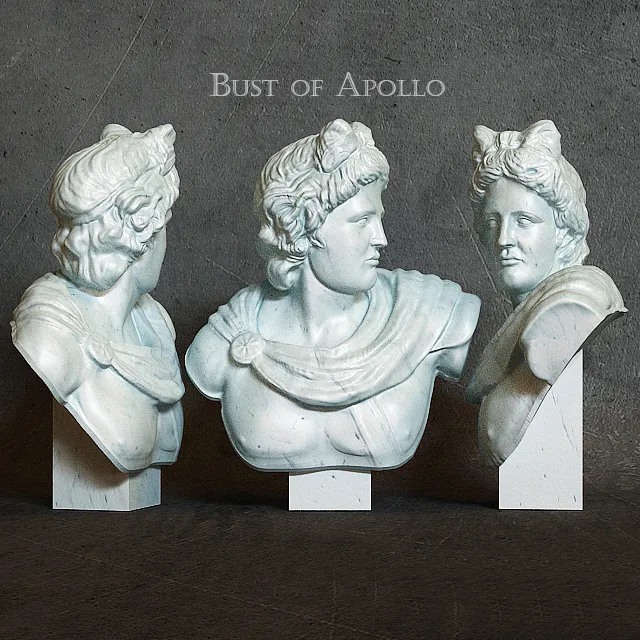decoration - Bust of Apollo 3D Model