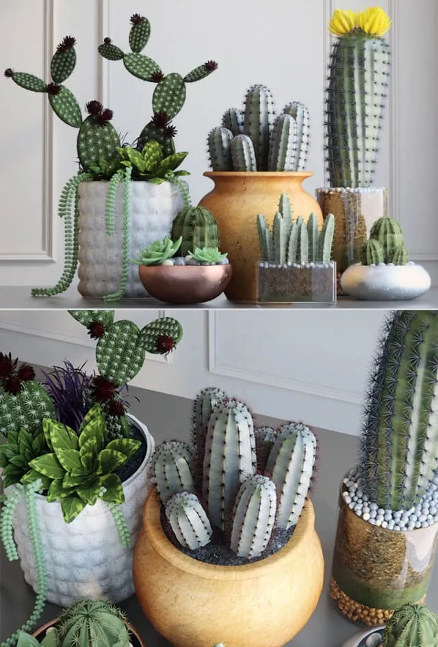 decoration - Cacti 3D Model