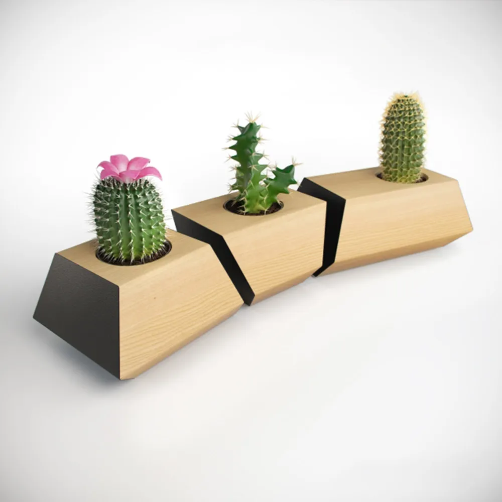 decoration - Cacti in pots 3D Model
