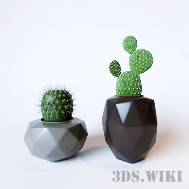 decoration - Cacti in vases 3D Model