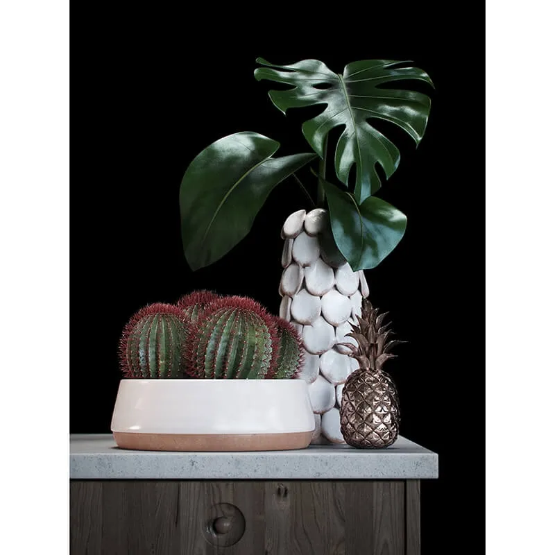 decoration - Cacti set 3D Model