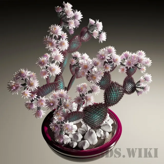 decoration - Cactus 3D Model