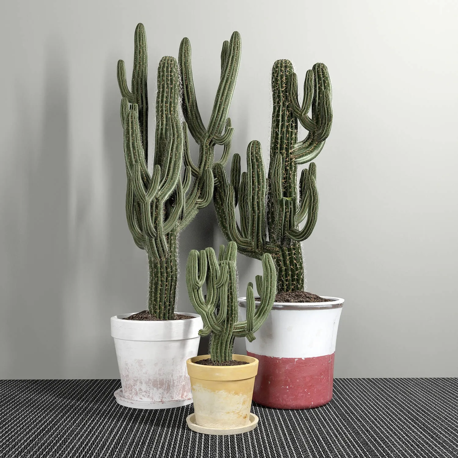 decoration - Cactus 56 3D Model