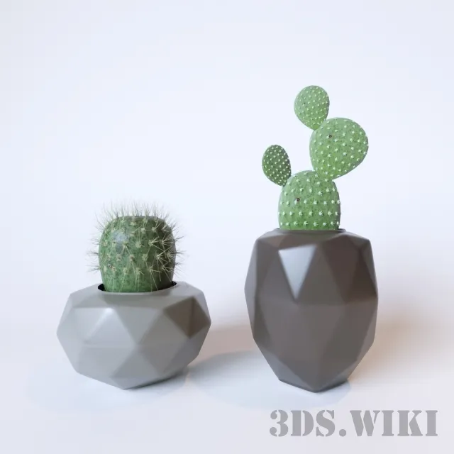 decoration - Cactus in beautiful decorative vases 3D Model