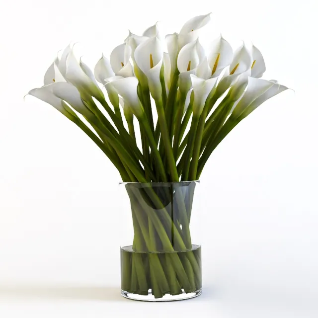 decoration - Calla 3D Model