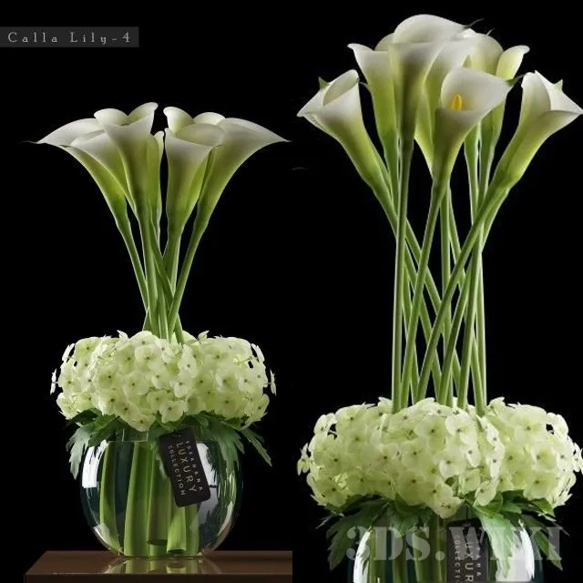 decoration - CALLA LILLY 4 3D Model