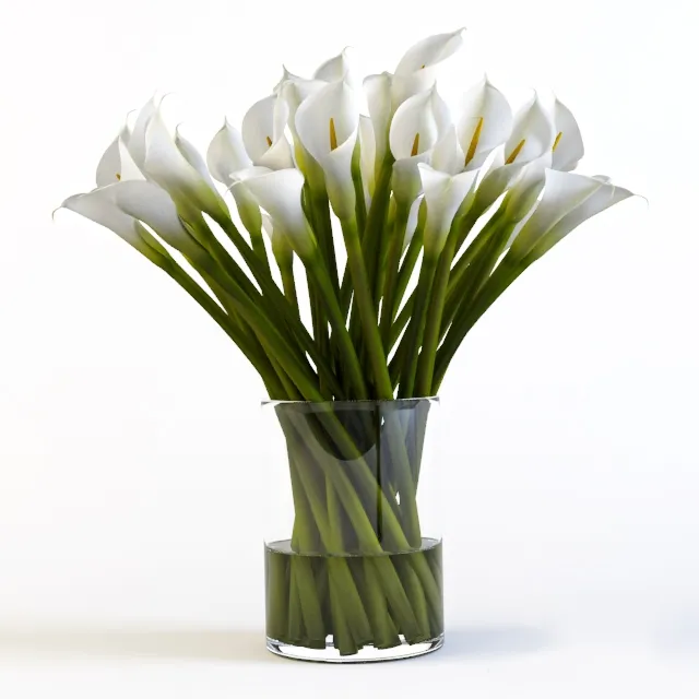 decoration - Callas 5 3D Model