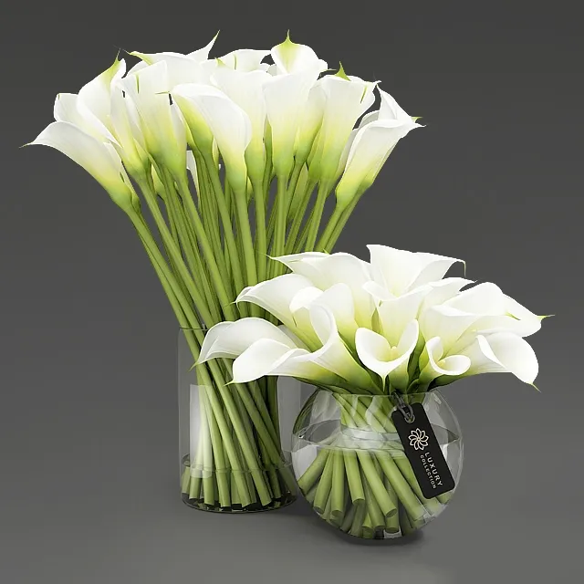 decoration - Callas in a vase 3D Model