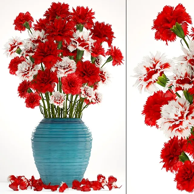 decoration - Carnation 3D Model