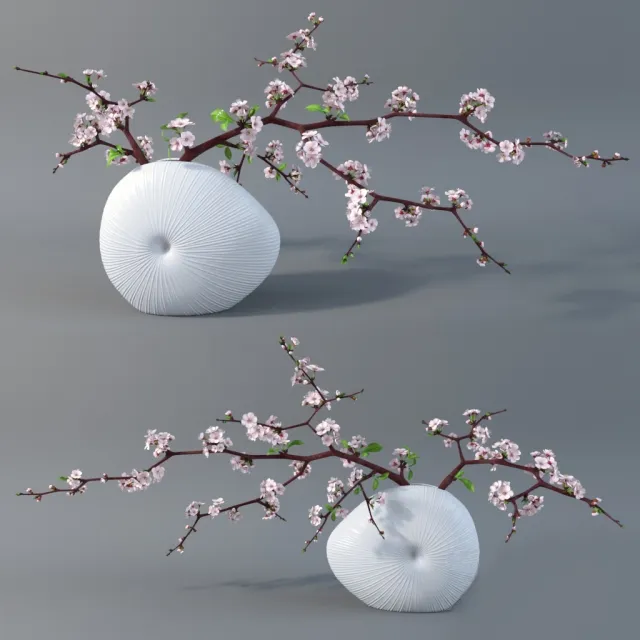decoration - Cherry branches 02 3D Model