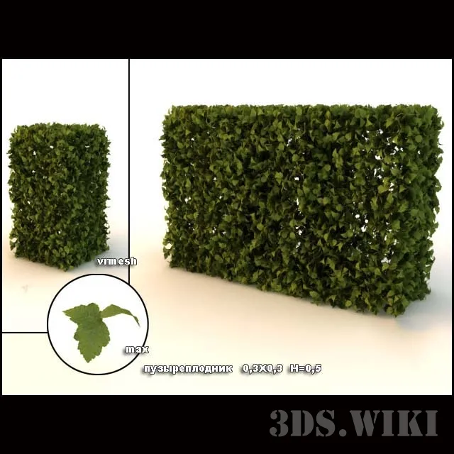 decoration - Classic bush - lawn 3D Model