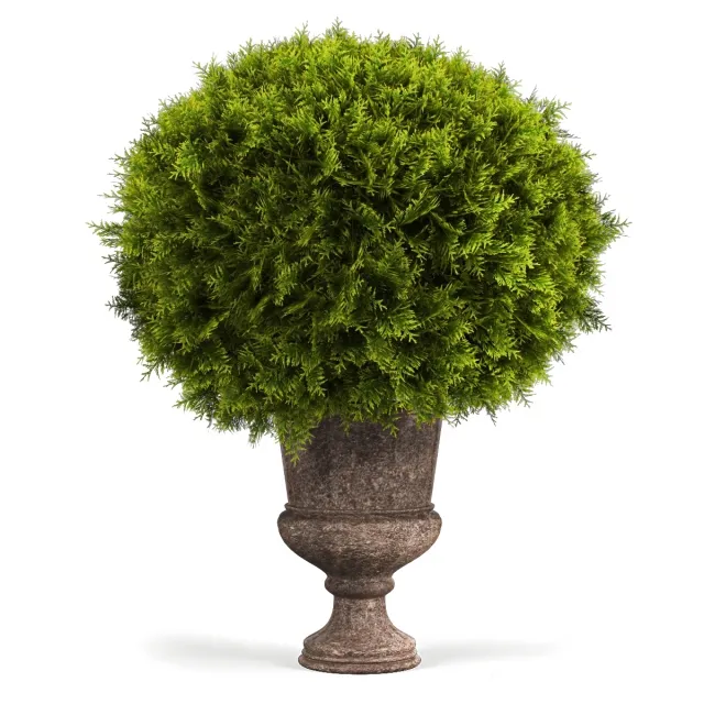 decoration - Classic plants 3D Model