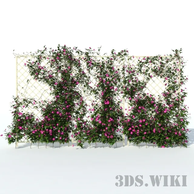 decoration - Clematis flower or vine 3D Model