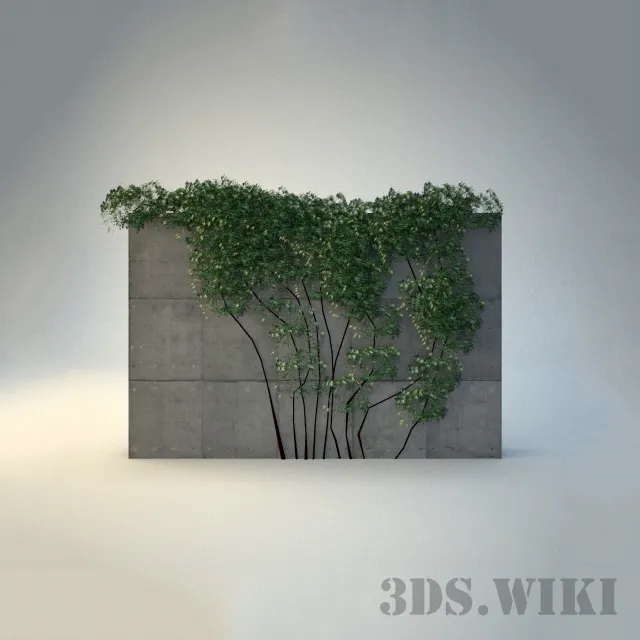decoration - Climbing plants for the yard 3D Model