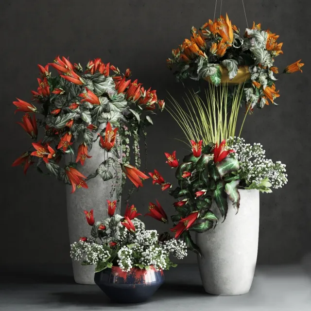 decoration - Collection of Confetti 3D Model