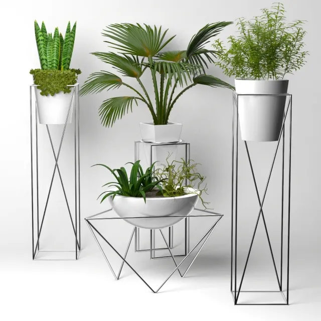 decoration - Collection of plants 3D Model