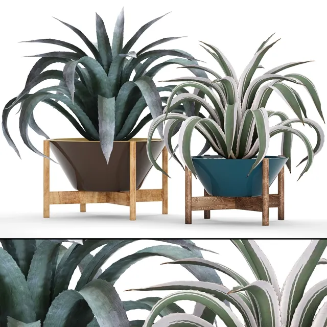 decoration - Collection of plants 3D Model