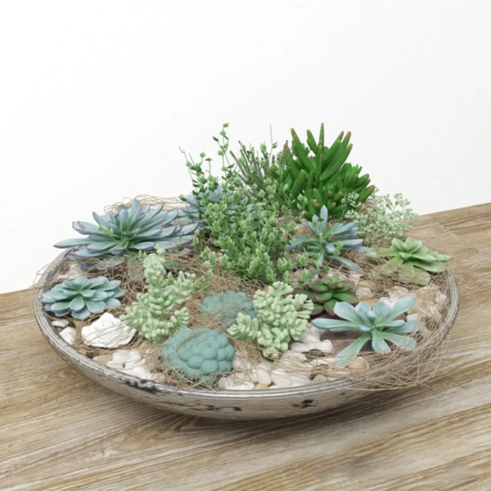 decoration - Collection of plants 3D Model