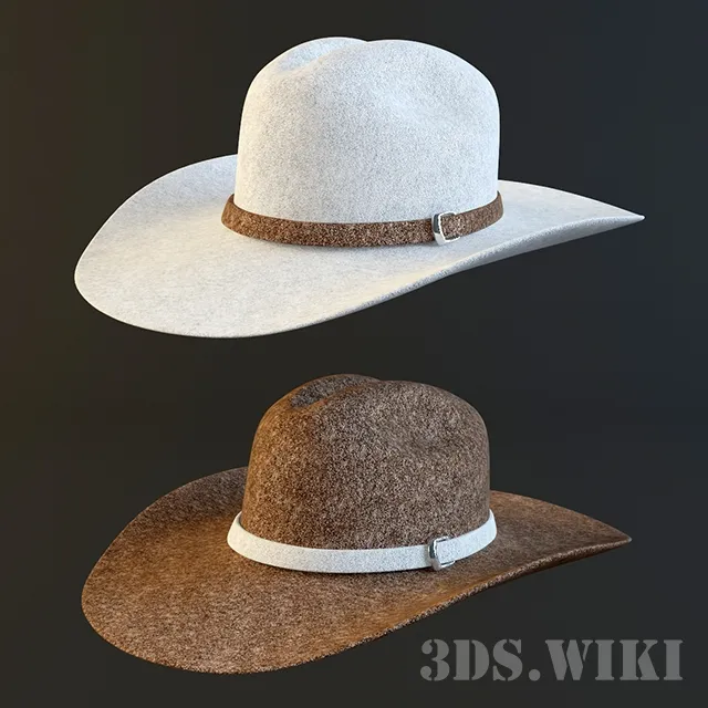 decoration - Cowboy hat 3D Model