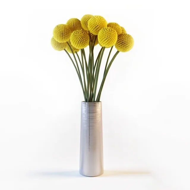 decoration - Craspedia 3D Model