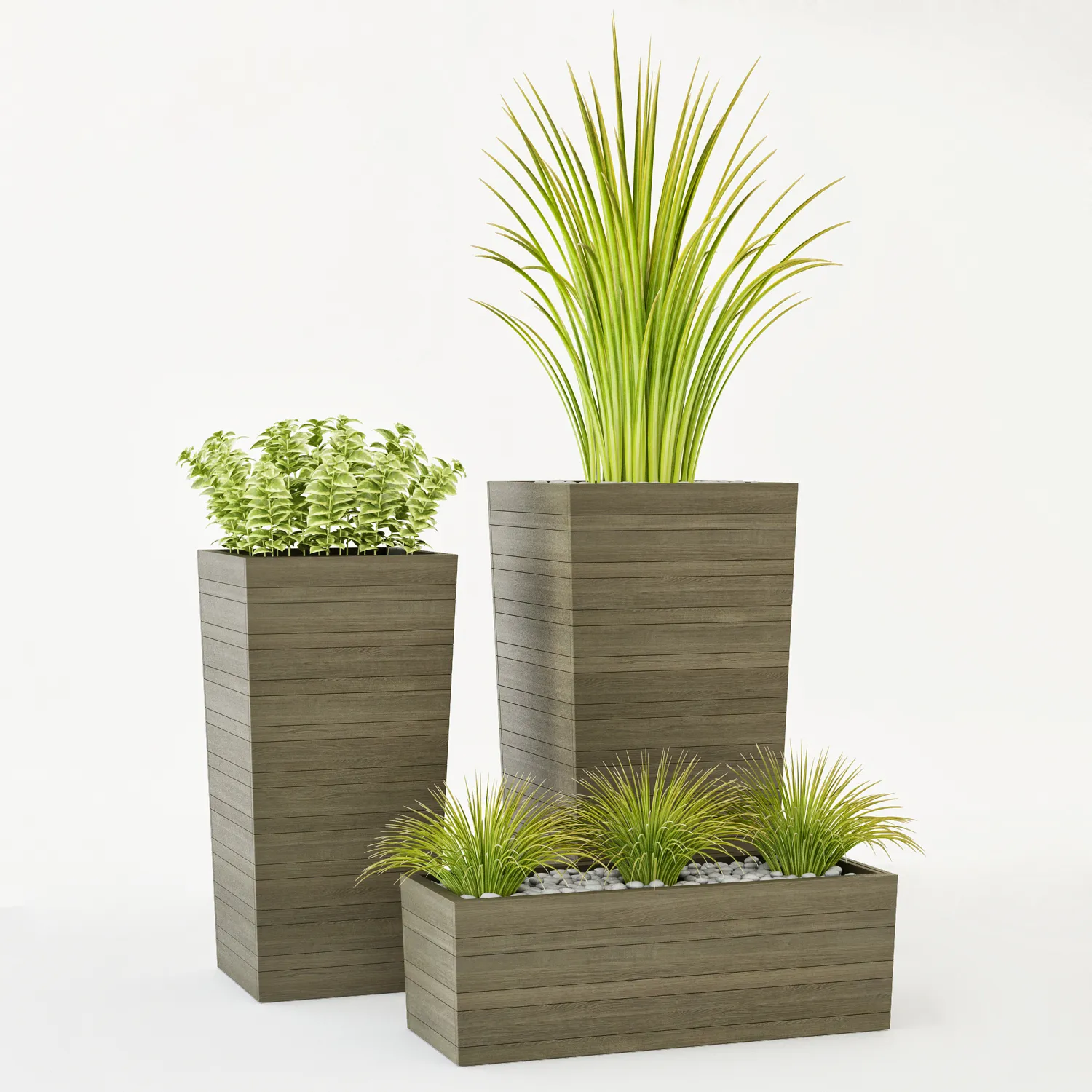 decoration - Crate & Barrel plants 3D Model