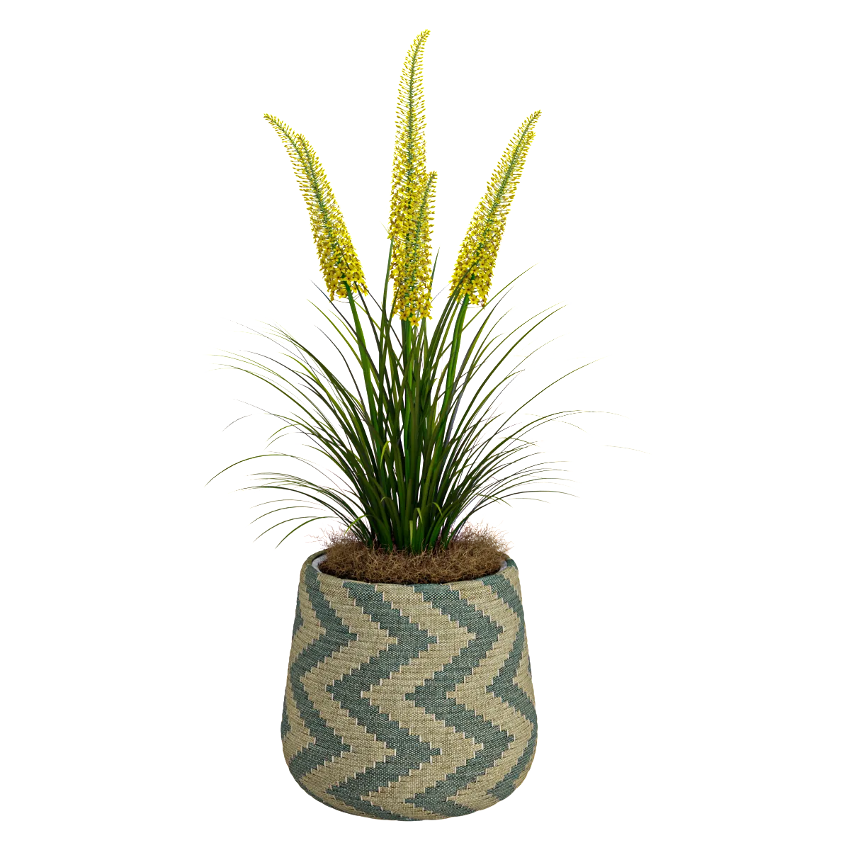 decoration - Creative plant 03 3D Model