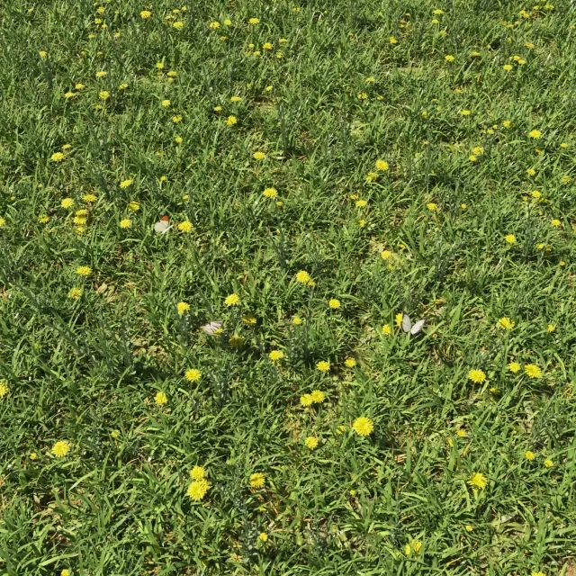 decoration - Декоративный зеленый набор 3D Model