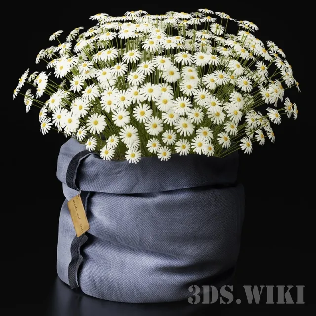 decoration - Сhamomiles with love 3D Model