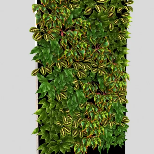decoration - фитостена 3D Model