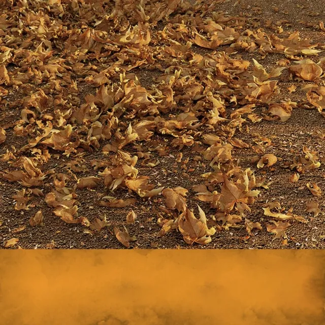 decoration - Dead Leaves 3D Model