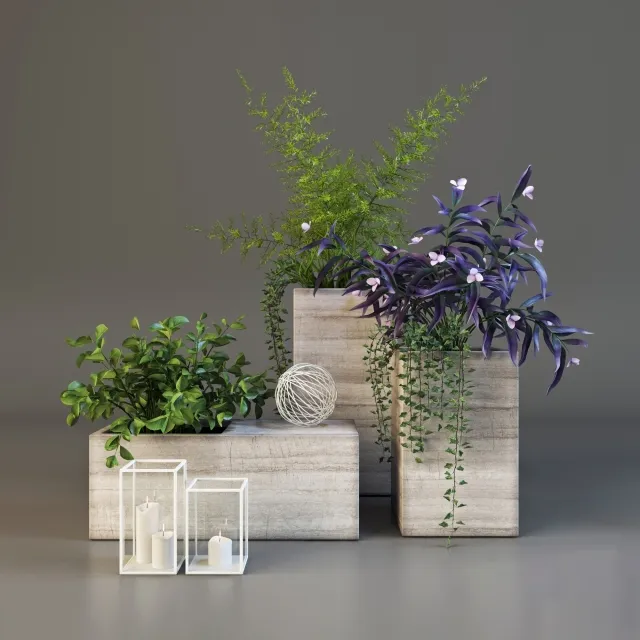 decoration - Decor set with plants 3D Model