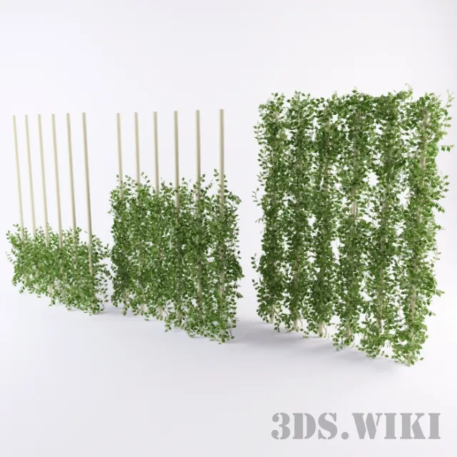 decoration - Decorative beautiful ivy 3D Model