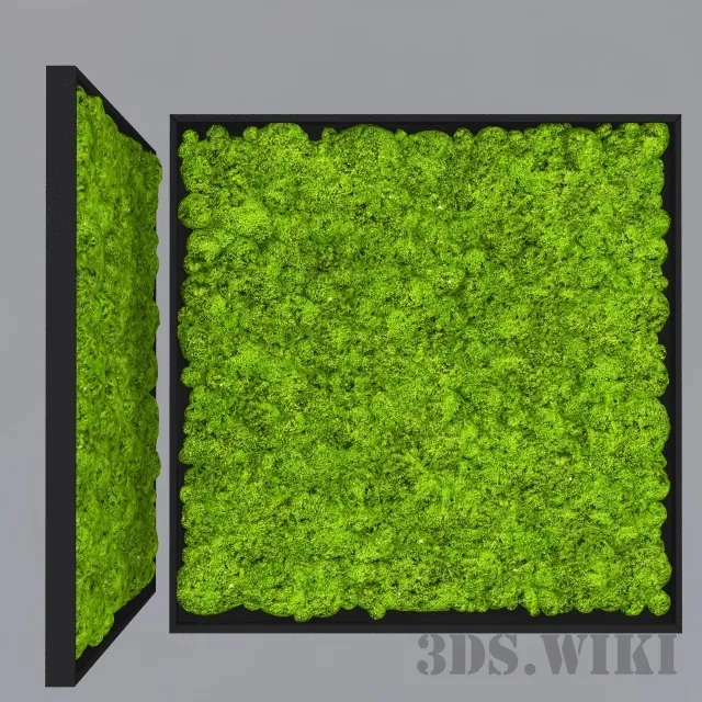 decoration - Decorative moss for interior 3D Model