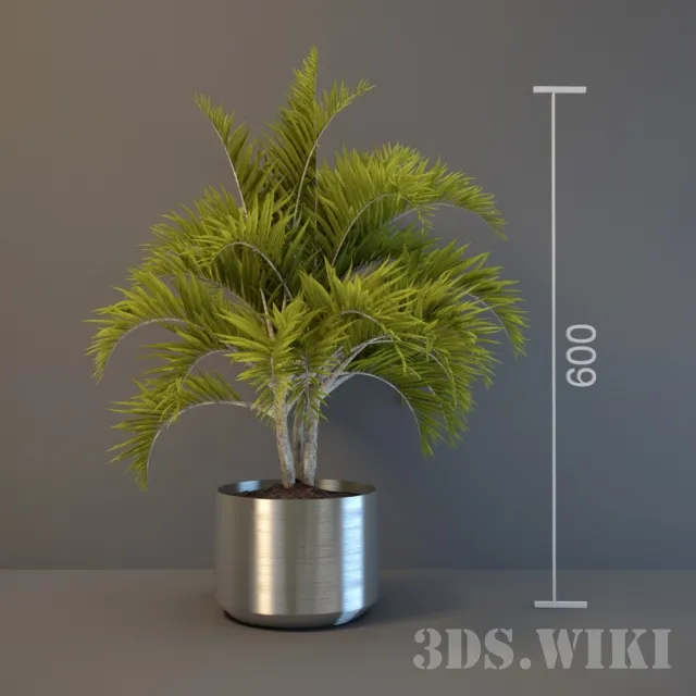 decoration - Decorative palm tree for interior 3D Model