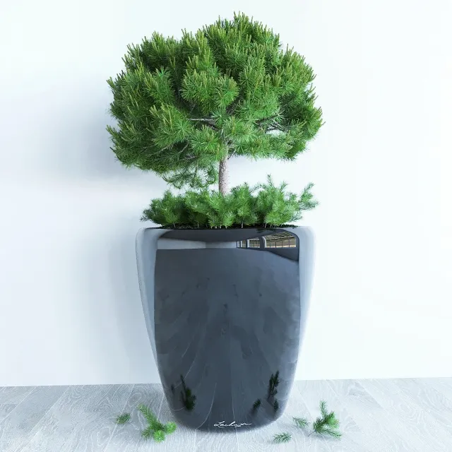 decoration - Decorative  pine 3D Model