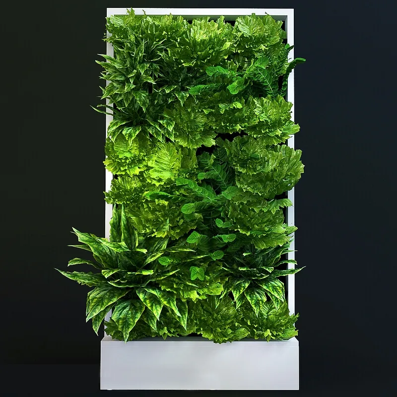 decoration - Decorative Plant 01 3D Model