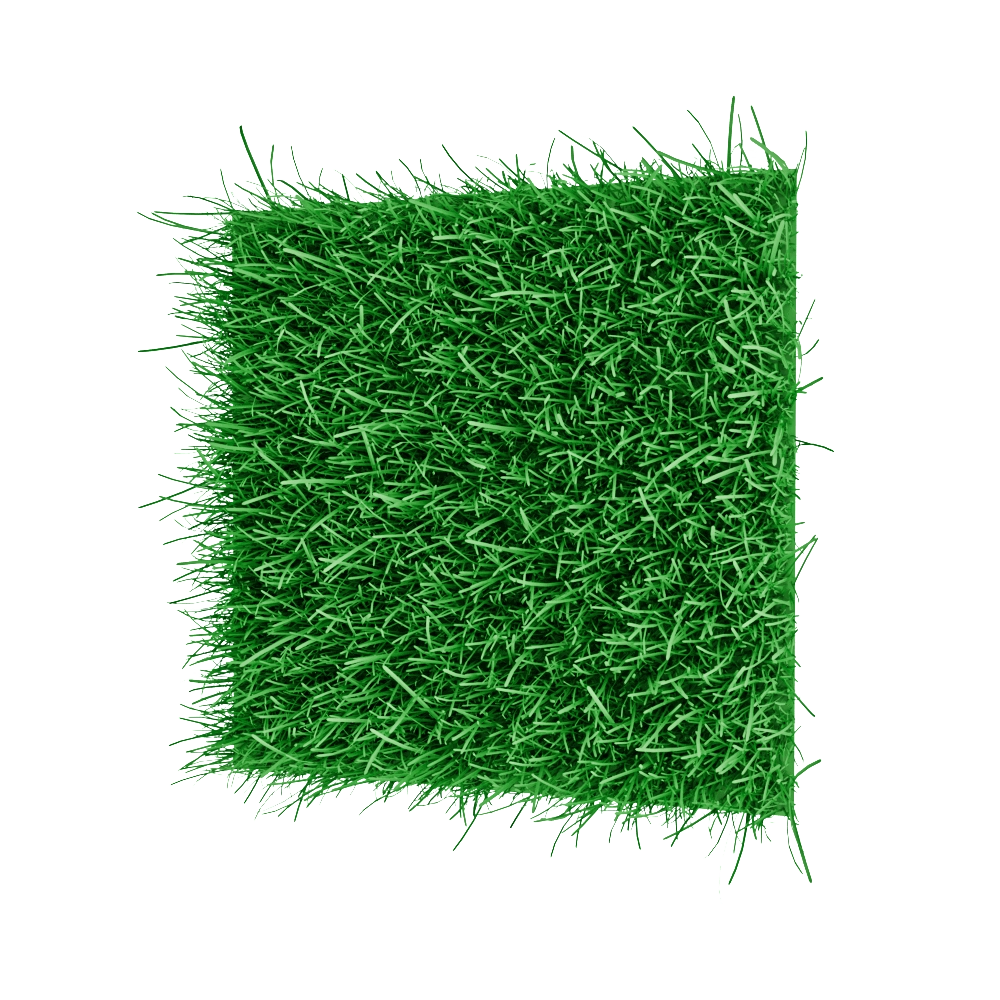 decoration - Decorative Plants 001 3D Model