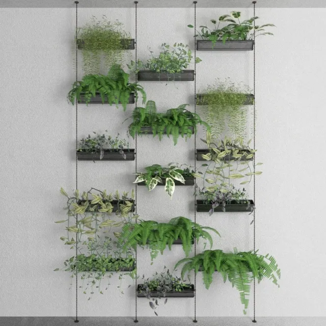 decoration - Decorative plants 3D Model