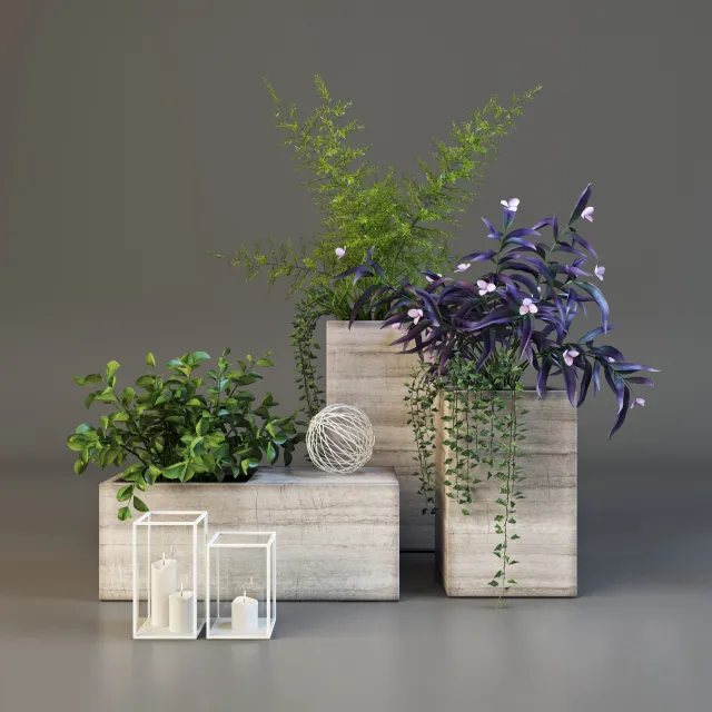 decoration - Decorative plants set 6 3D Model