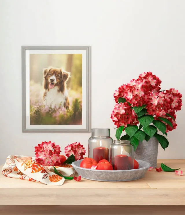 decoration - Decorative set 113 1 3D Model