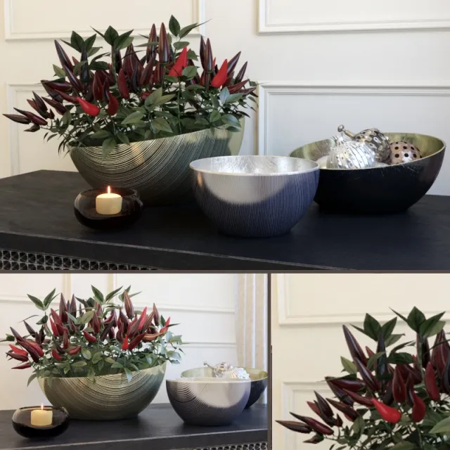 decoration - Decorative set with peppers 3D Model