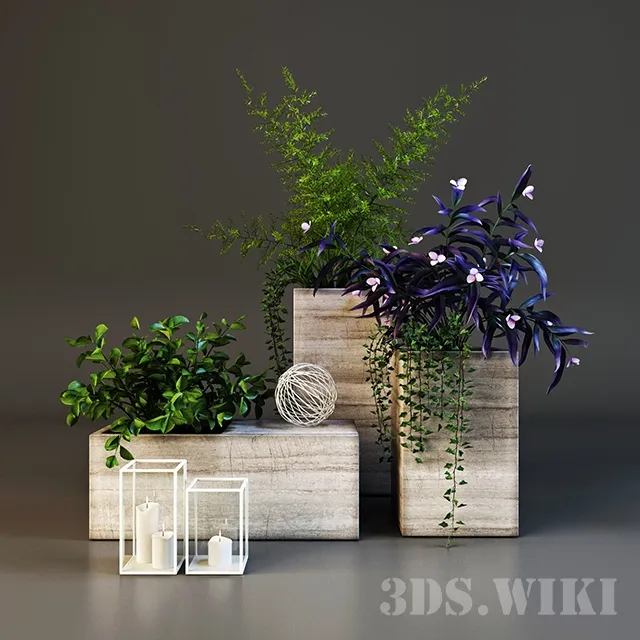 decoration - Decorative set with plants 3D Model