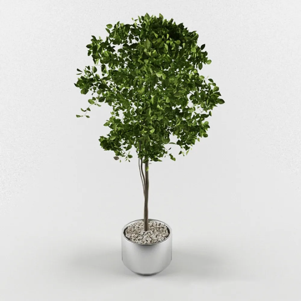 decoration - Decorative tree 3D Model