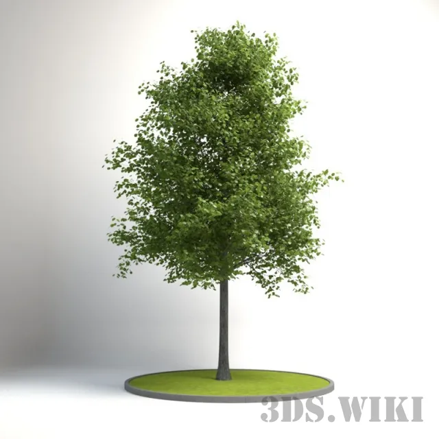 decoration - Decorative tree for the exterior 3D Model