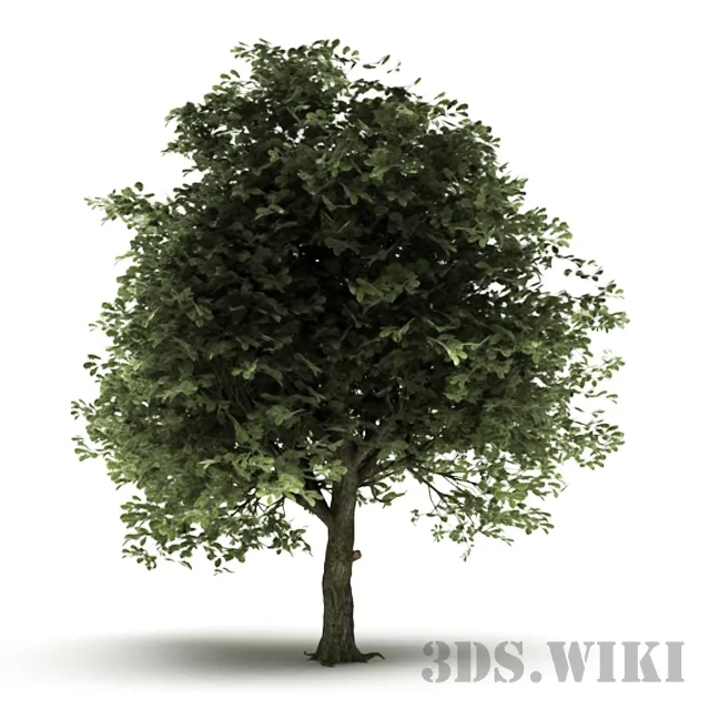 decoration - Decorative tree for the yard 3D Model