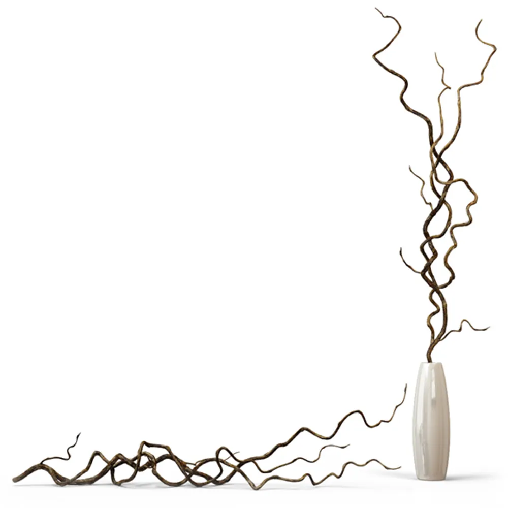 decoration - Decorative vine branches 3D Model