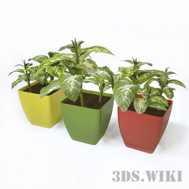 decoration - Dieffenbachia plants 3D Model