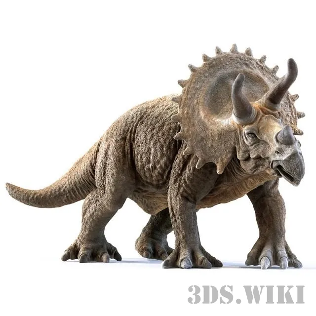 decoration - Dinosaur Triceratops 3D Model