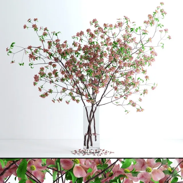 decoration - Dogwood Pink Blossom 3D Model